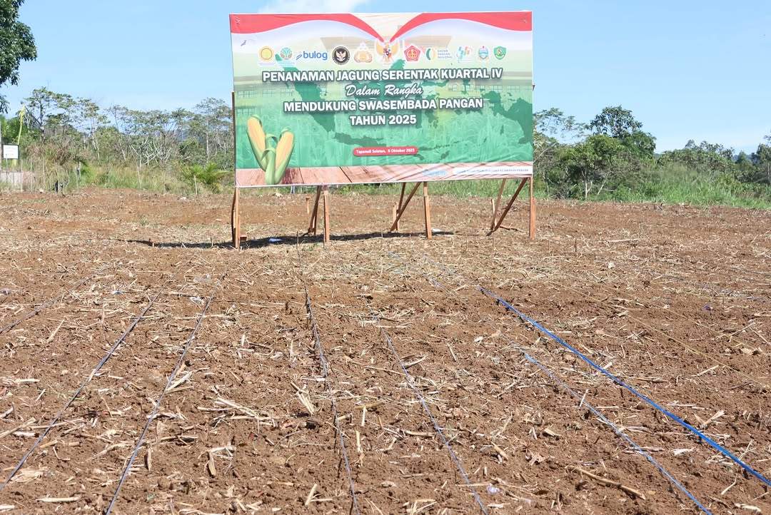 Dukung Swasembada Pangan, Bupati Gus Irawan Hadiri Penanaman Jagung Serentak Kuartal IV